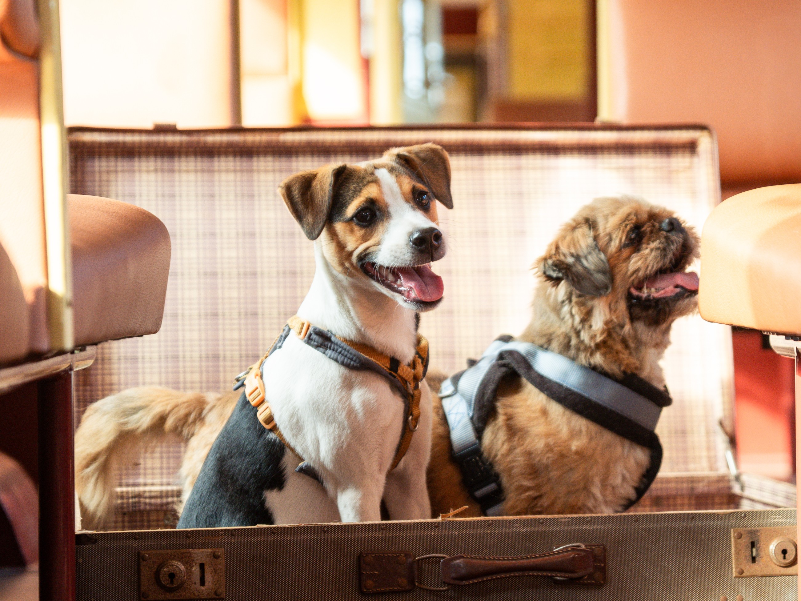 Erfolgsgeschichte Milow & Ronny